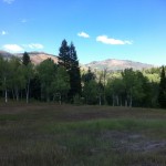 Tibble Fork Trail