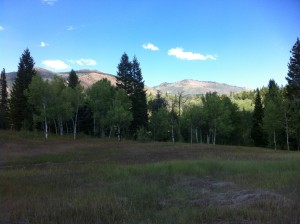 Tibble Fork Trail