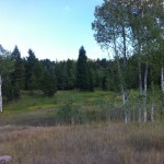 Tibble Fork Trail