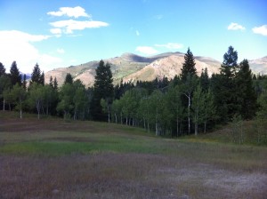 Tibble Fork Trail