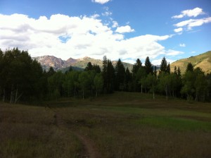 Tibble Fork Trail