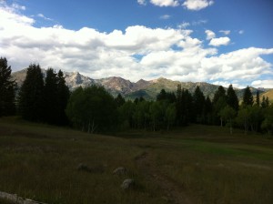 Tibble Fork Trail