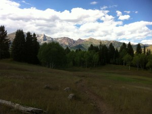 Tibble Fork Trail