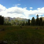 Tibble Fork Trail