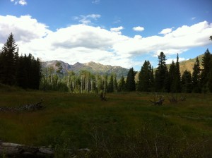 Tibble Fork Trail